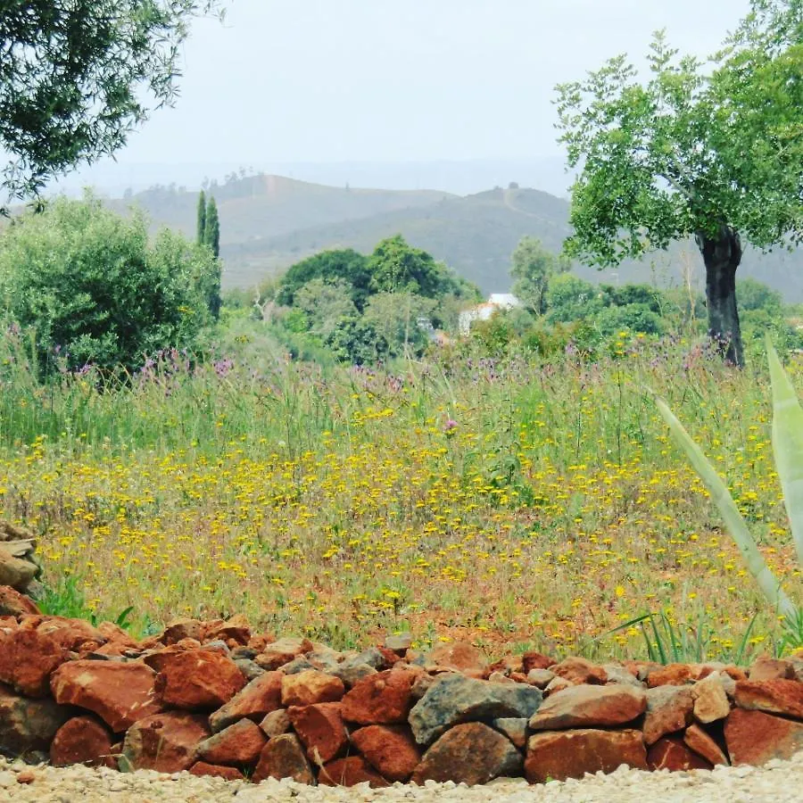 Quinta Das Piteiras-Turismo Rural Silves Bed & Breakfast